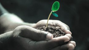 Uitgezocht: Cofinanciering bodemsanering in Vlaanderen