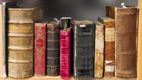 Museum voor bizarre verordeningen