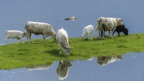 Een klimaatstresstest – en dan?  Vijf punten om op te letten