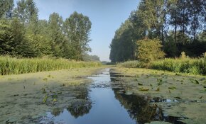 TAUW België en TAUW Nederland bundelen krachten in internationaal EU LIFE PFASTER onderzoeksproject tegen PFAS