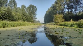 TAUW België en TAUW Nederland bundelen krachten in internationaal EU LIFE PFASTER onderzoeksproject tegen PFAS